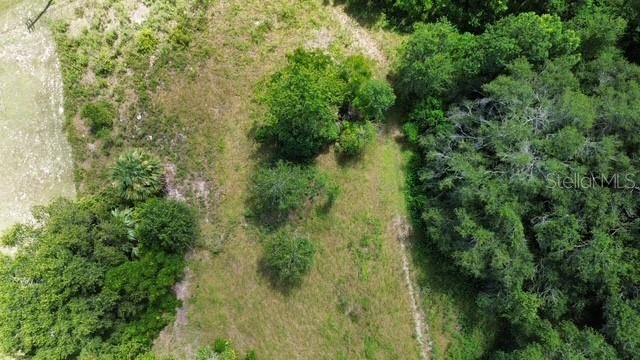 4026 N ORANGE BLOSSOM TRAIL, Mount Dora, FL 32757