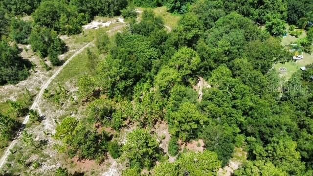 4026 N ORANGE BLOSSOM TRAIL, Mount Dora, FL 32757