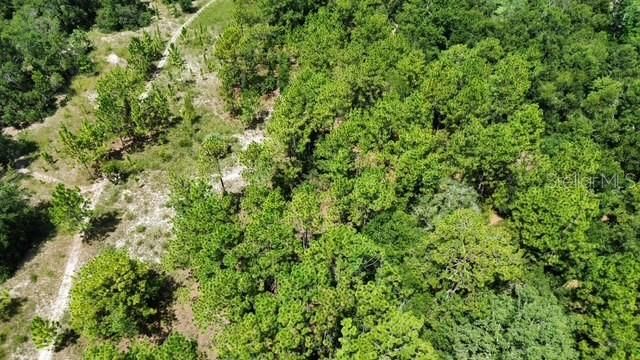 4026 N ORANGE BLOSSOM TRAIL, Mount Dora, FL 32757