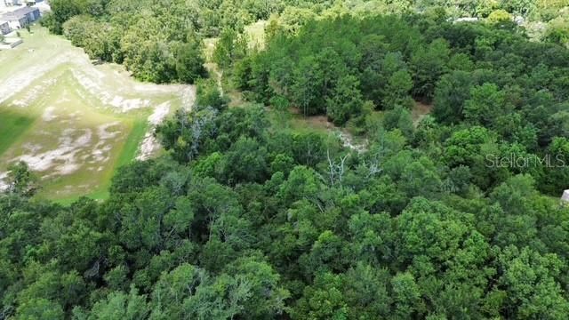 4026 N ORANGE BLOSSOM TRAIL, Mount Dora, FL 32757