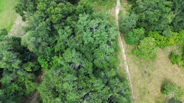 4026 N ORANGE BLOSSOM TRAIL, Mount Dora, FL 32757