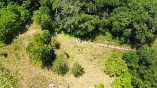 4026 N ORANGE BLOSSOM TRAIL, Mount Dora, FL 32757