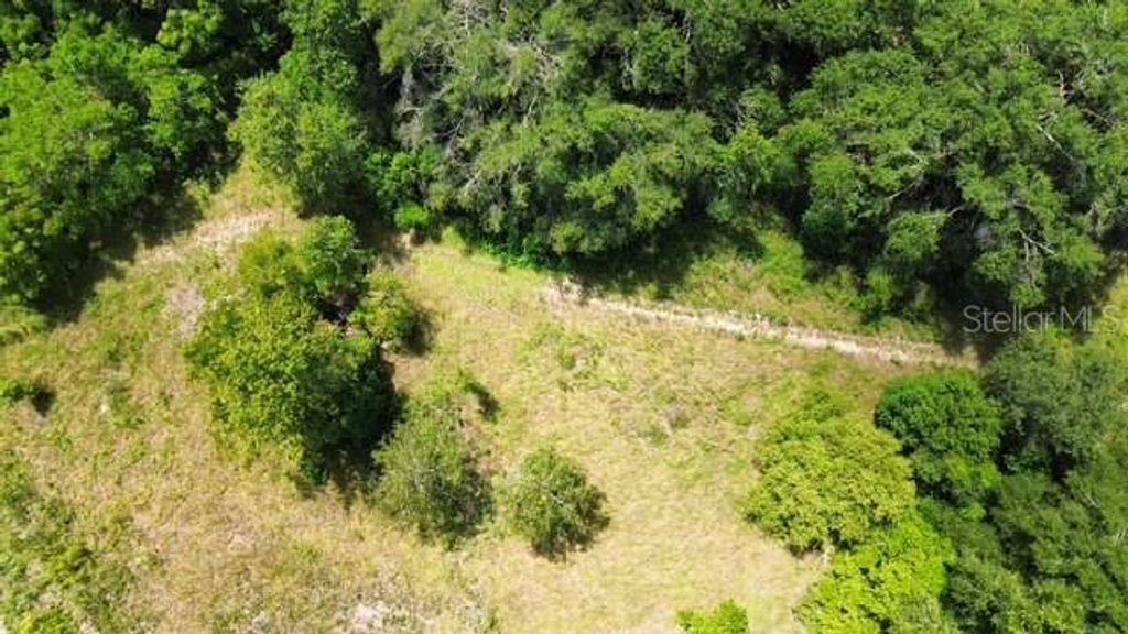 4026 N ORANGE BLOSSOM TRAIL, Mount Dora, FL 32757