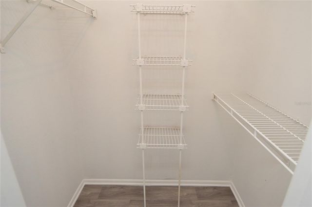 8641 FANCY FINCH DRIVE 202, Tampa, FL 33614