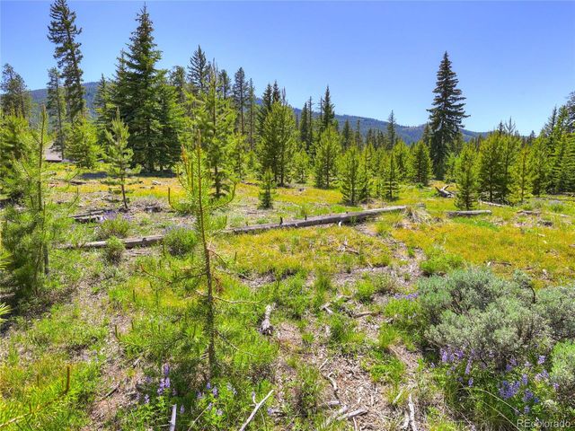 840 Penstemon Rd, Dillon, CO 80435