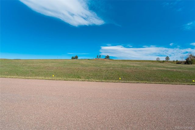1318 Montcombe Drive, Monument, CO 80132