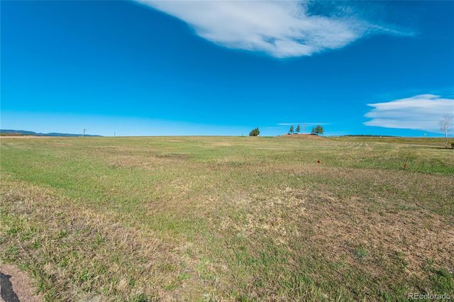 1318 Montcombe Drive, Monument, CO 80132