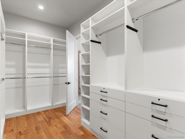 3650 Tall Grass Ct, Timnath, CO 80547