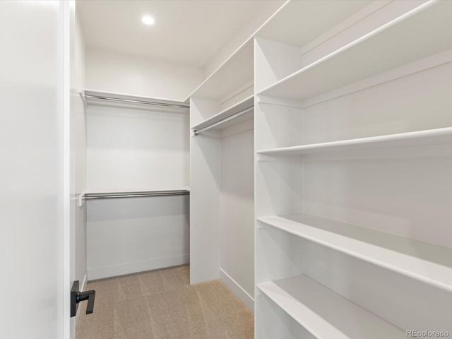 3650 Tall Grass Ct, Timnath, CO 80547