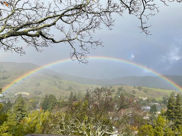 16 Dutch Valley Ln, San Anselmo, CA 94960