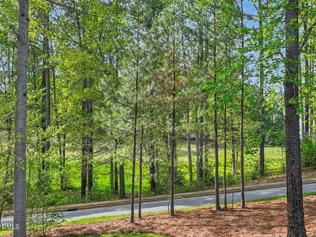 36 Nuthatch Drive, Pittsboro, NC 27312