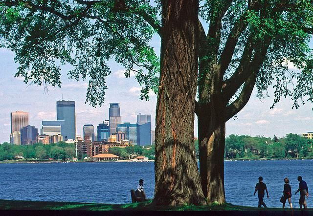 3145 Dean Court 1100, Minneapolis, MN 55416