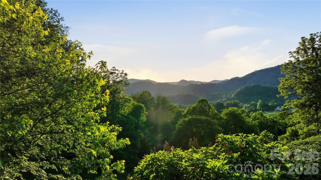 15 Racoon Point, Canton, NC 28716