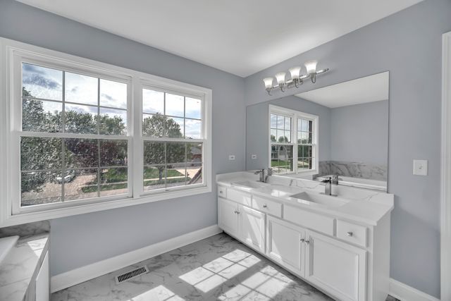 13217 Millbank Drive, Plainfield, IL 60585