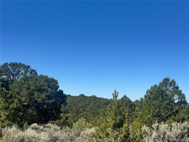 7878 Stone Rd, Fort Garland, CO 81133