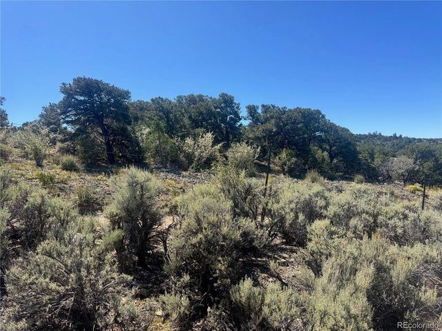 7878 Stone Rd, Fort Garland, CO 81133