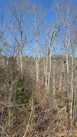 207 Receptive Drive 29, Glenville, NC 28736