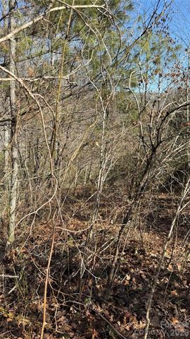 207 Receptive Drive 29, Glenville, NC 28736