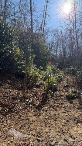 207 Receptive Drive 29, Glenville, NC 28736