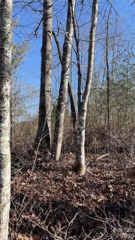 207 Receptive Drive 29, Glenville, NC 28736