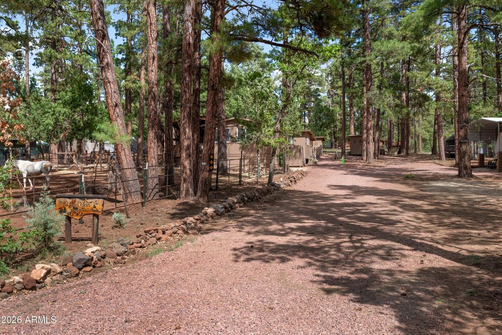 Image 2 of property listing at 1659 MORMON Road, Happy Jack, AZ 86024