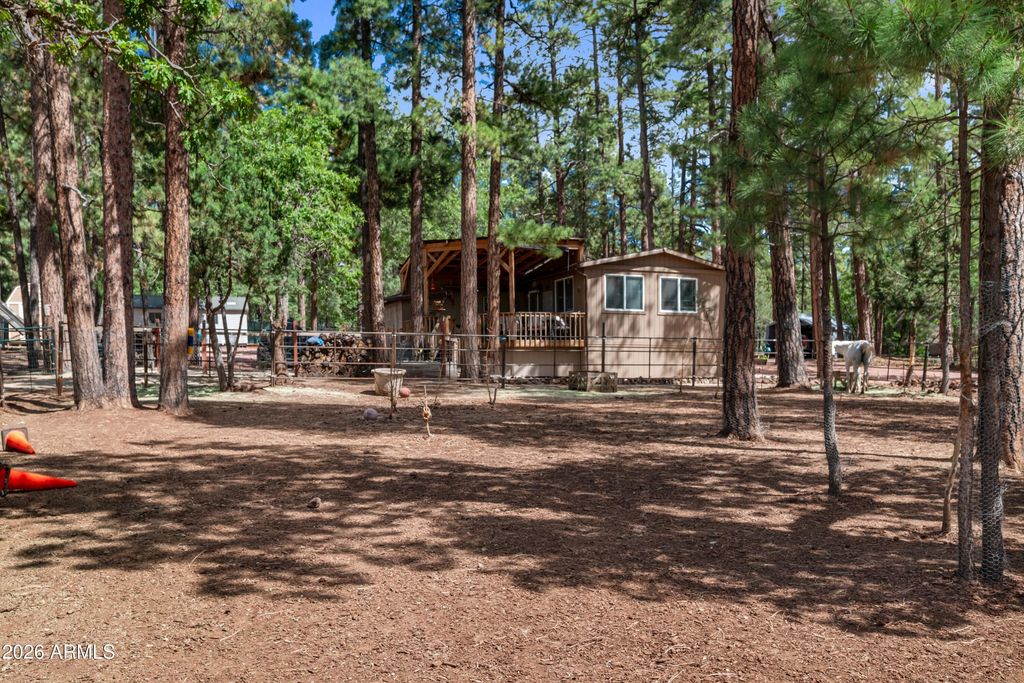 Image 3 of property listing at 1659 MORMON Road, Happy Jack, AZ 86024