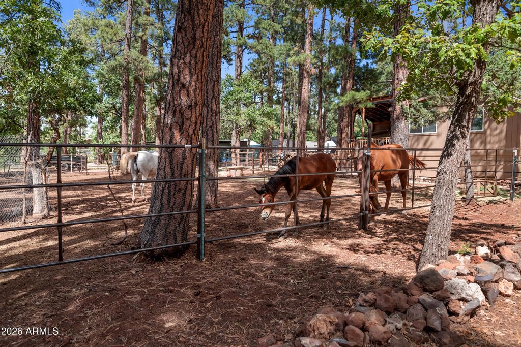 Image 35 of property listing at 1659 MORMON Road, Happy Jack, AZ 86024