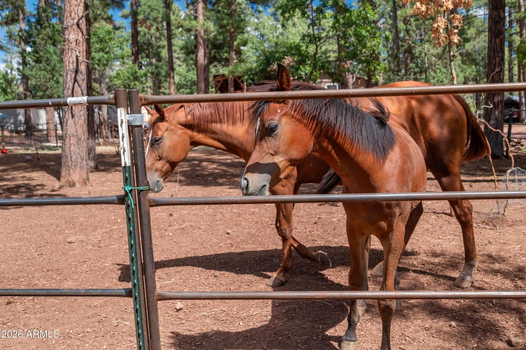 Image 36 of property listing at 1659 MORMON Road, Happy Jack, AZ 86024