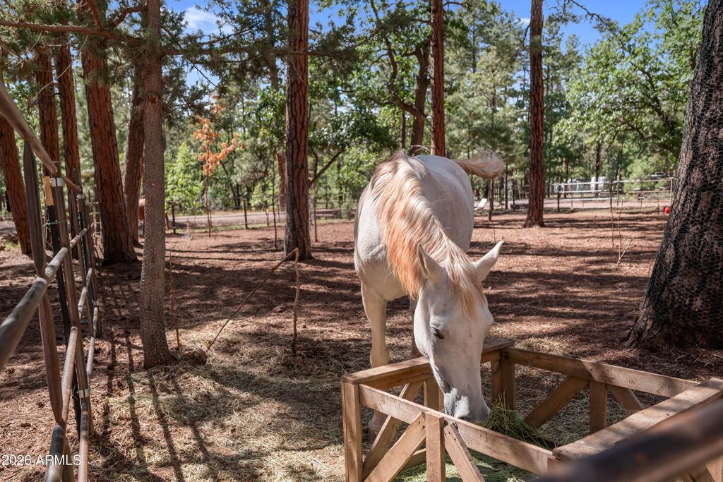 Image 37 of property listing at 1659 MORMON Road, Happy Jack, AZ 86024