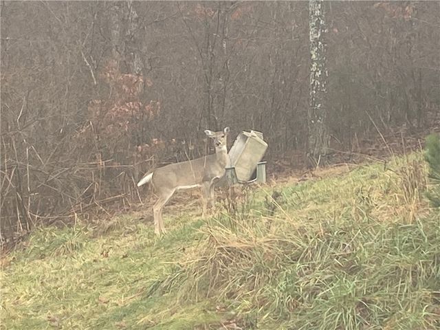 441 County Road 535, Berryville, AR 72616