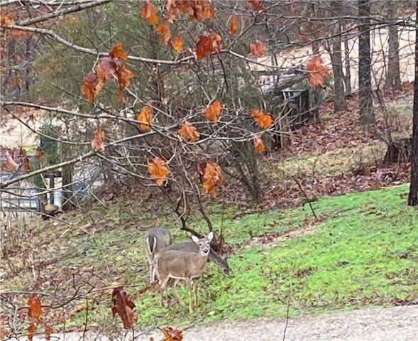 441 County Road 535, Berryville, AR 72616