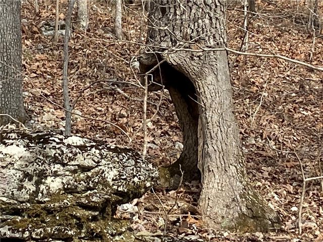 441 County Road 535, Berryville, AR 72616