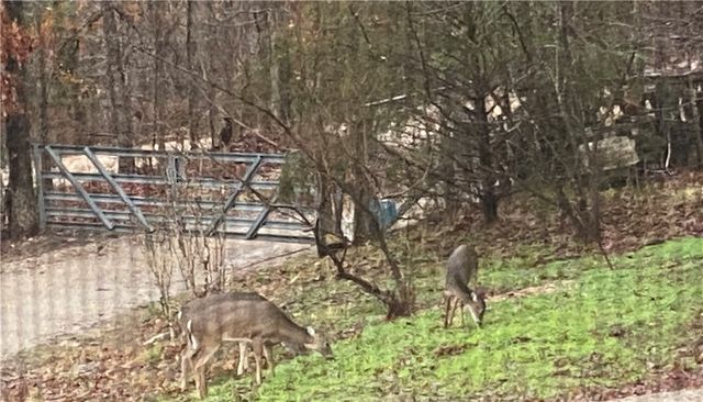 441 County Road 535, Berryville, AR 72616