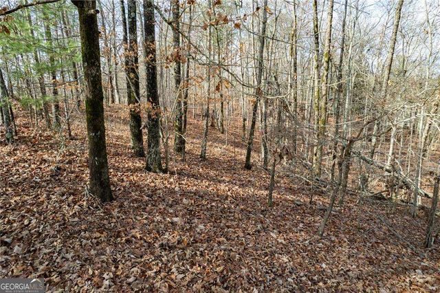 533 Marque Lane NE, Ranger, GA 30734