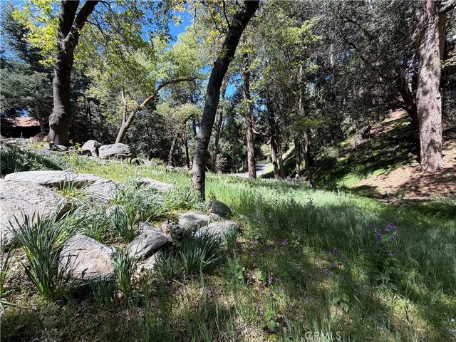 1076 Calanda, Crestline, CA 92325