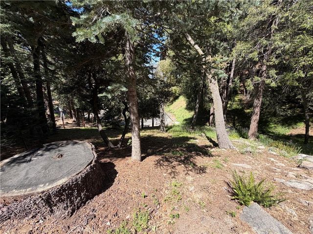 1076 Calanda, Crestline, CA 92325