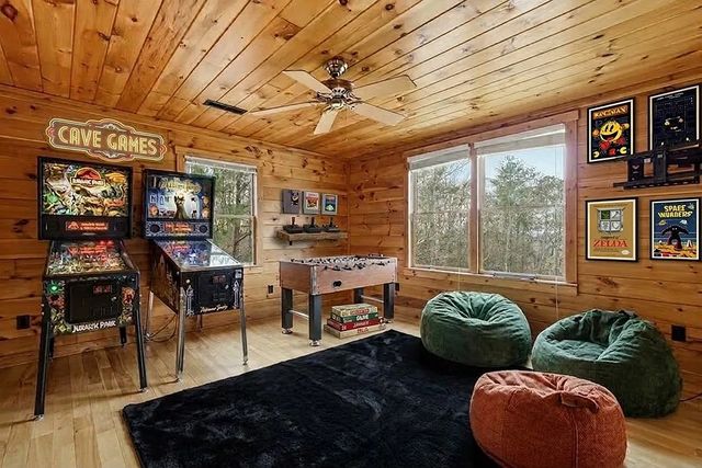 388 Palisade Drive, Ellijay, GA 30540