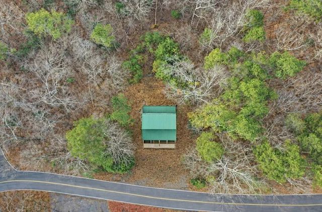 388 Palisade Drive, Ellijay, GA 30540