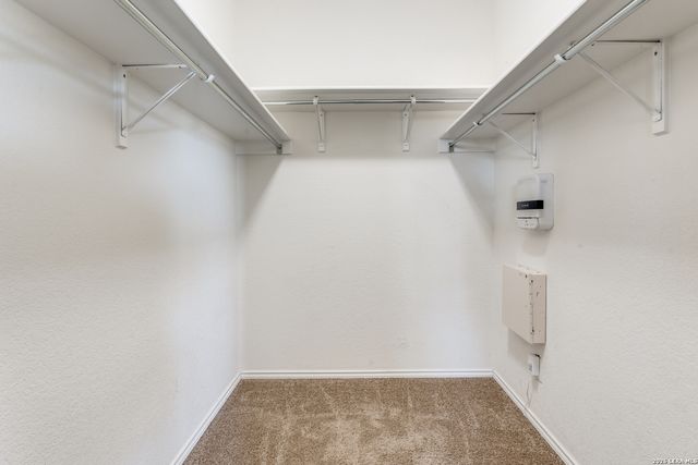 20718 Pearl Harvest, San Antonio, TX 78259