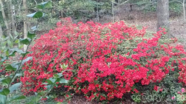 3065 Woodstream Drive, Valdese, NC 28690