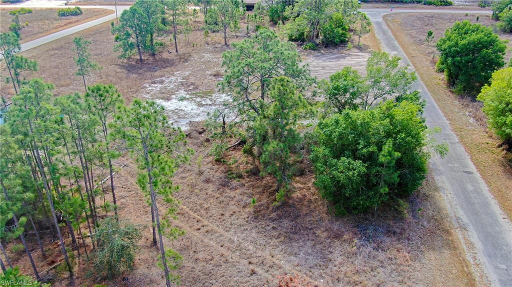 841 Dante AVE S, LEHIGH ACRES, FL 33974 — photo 3