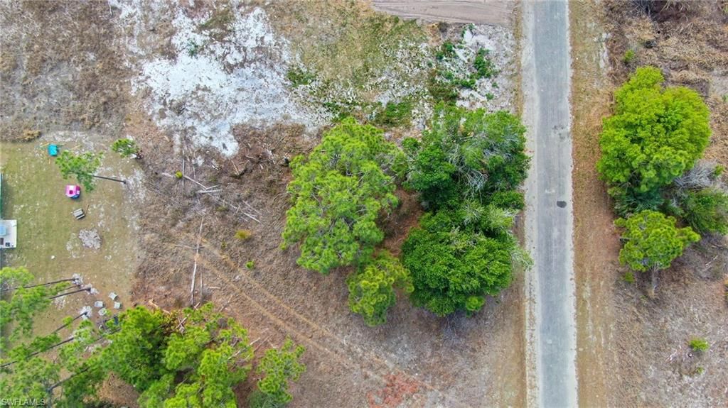 841 Dante AVE S, LEHIGH ACRES, FL 33974 — photo 4