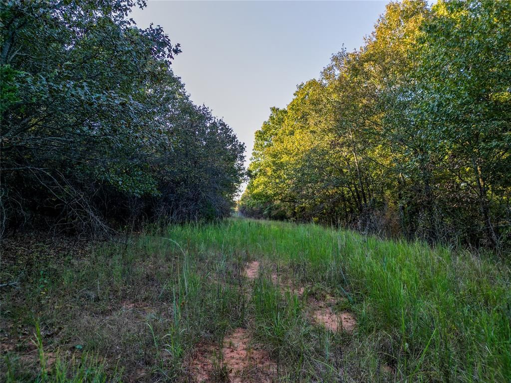 Lot A - Williams Road, Tribbey, OK 74878