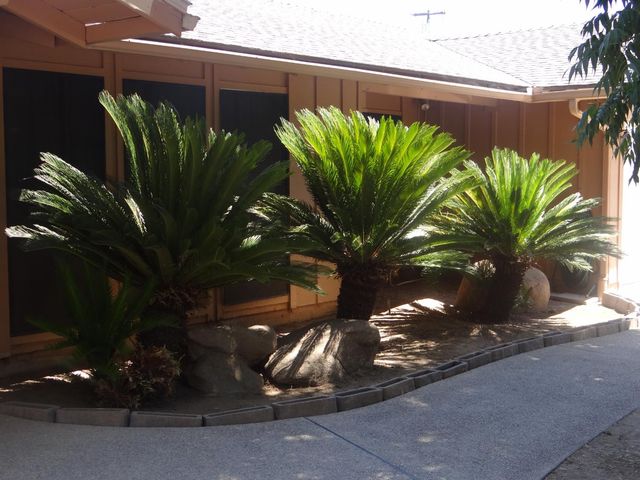 2712 W Mesa Avenue, Fresno, CA 93711