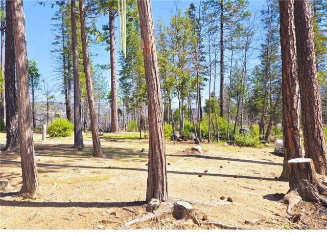 1171 Bald Rock Road, Berry Creek, CA 95916