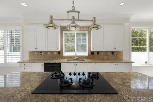 1312 Corvidae Street, Carlsbad, CA 92011