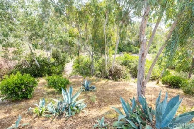 1312 Corvidae Street, Carlsbad, CA 92011