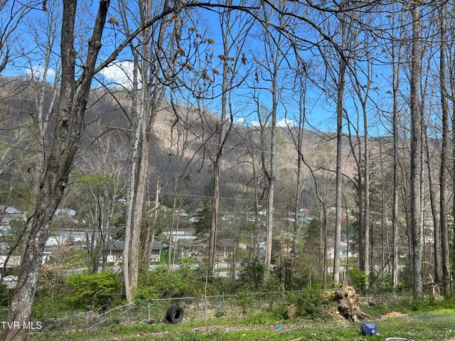 1731 East Holton Avenue, Big Stone Gap, VA 24219