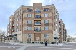 300 Village Circle 503, Willow Springs, IL 60480