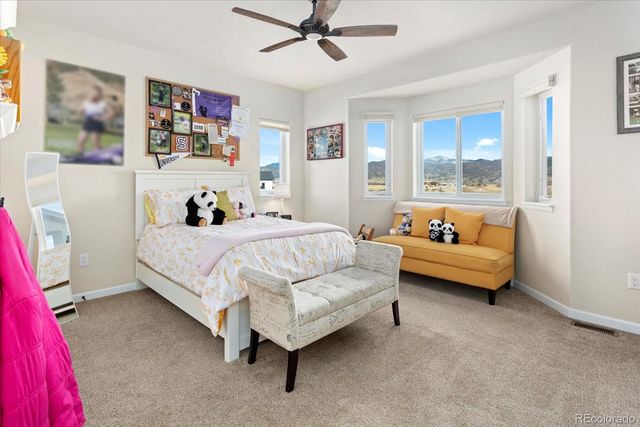 7476 County Road 145, Salida, CO 81201